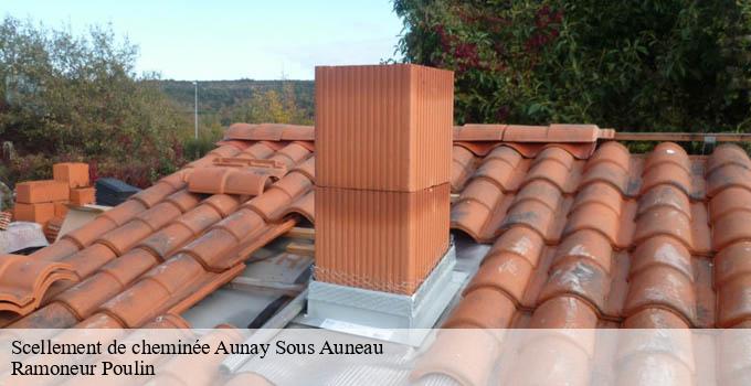 Scellement de cheminée  aunay-sous-auneau-28700 Ramoneur Poulin