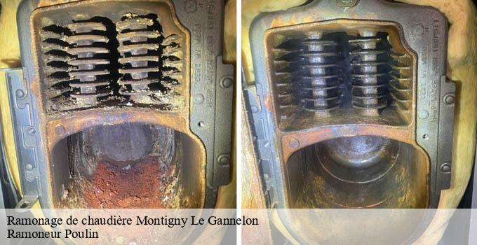 Ramonage de chaudière montigny-le-gannelon-28220 Ramoneur Poulin