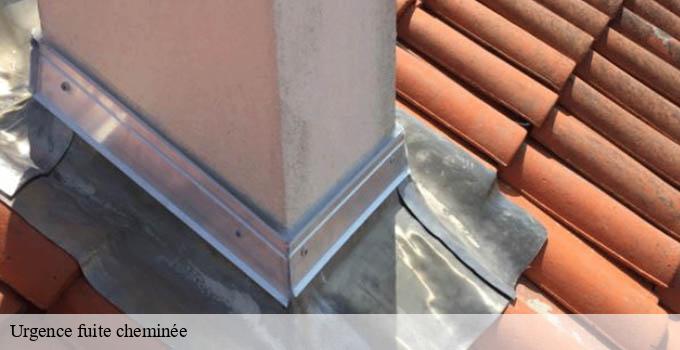 Urgence fuite cheminée  boncourt-28260 Ramoneur Poulin