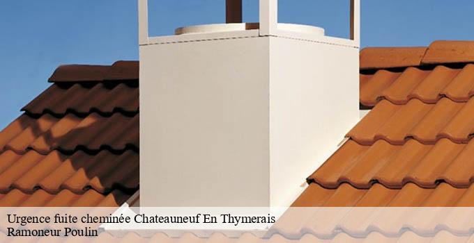 Urgence fuite cheminée chateauneuf-en-thymerais-28170 Ramoneur Poulin