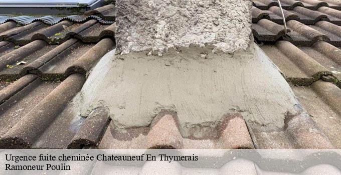 Urgence fuite cheminée chateauneuf-en-thymerais-28170 Ramoneur Poulin