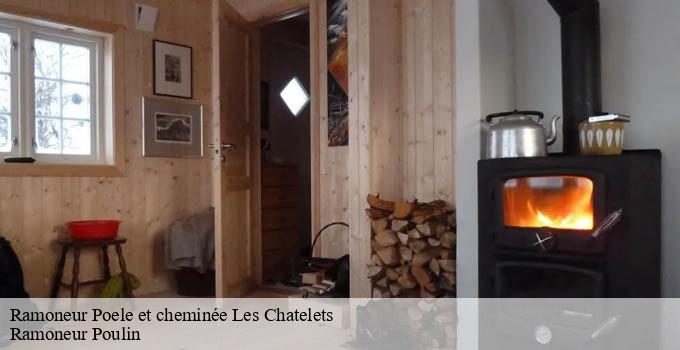 Ramoneur Poele et cheminée les-chatelets-28270 Ramoneur Poulin