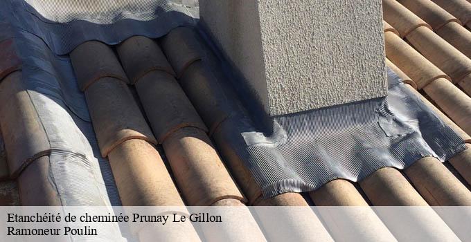 Etanchéité de cheminée prunay-le-gillon-28360 Ramoneur Poulin